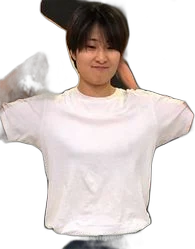 Bo Mi Re Shin